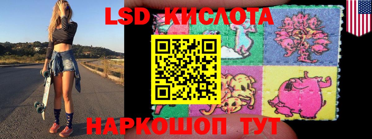 Наркотические марки 1500мкг  Вход с VPN  Наркотические марки 1500мкг  Чебоксары 
